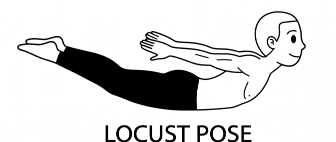 Visual sketch of Locust Pose (Salabhasana)